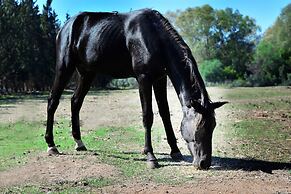 Hotel Rurale Orti di Nora & SPA