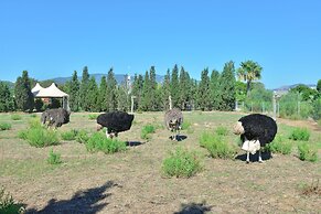 Hotel Rurale Orti di Nora & SPA