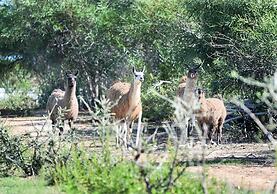 Hotel Rurale Orti di Nora & SPA