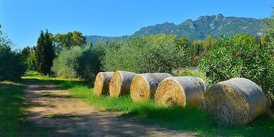 Hotel Rurale Orti di Nora & SPA