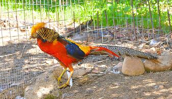 Hotel Rurale Orti di Nora & SPA