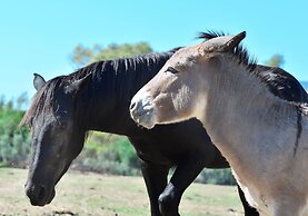 Hotel Rurale Orti di Nora & SPA