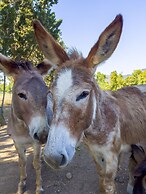 Hotel Rurale Orti di Nora & SPA