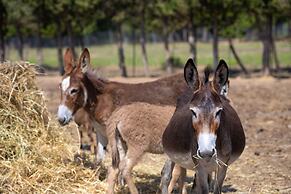 Hotel Rurale Orti di Nora & SPA