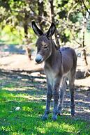 Hotel Rurale Orti di Nora & SPA