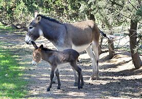 Hotel Rurale Orti di Nora & SPA