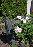 Stratford Suburban Motel