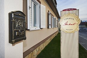 Conacul Ambient
