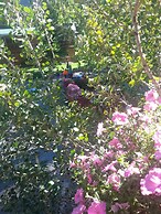 The River's Edge Motel Lodge & Resort