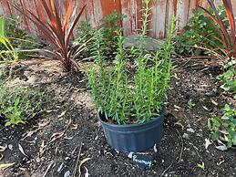 Lakeside Villa & Nordic Spa