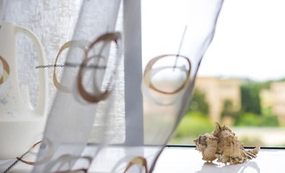 Ta' Bertu Host Family Bed & Breakfast