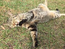 Taroko Mountain Dream Homestay B&B