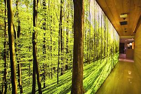 Dosso Dossi Hotels & Spa Downtown