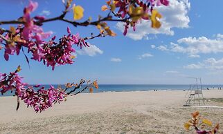 Arabella Beach Hotel