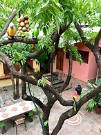 Hostal La Casa de Felipe