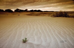 Hotel Marina Topolobampo