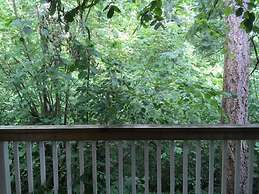 Escape at Eastside Condo and Townhomes