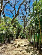 Pacífica Surf Studios