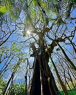 Pacífica Surf Studios