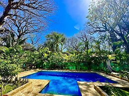 Pacífica Surf Studios