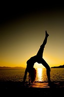 Rancho Las Cruces Baja California Sur