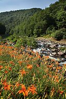 Historic Tapoco Lodge Resort