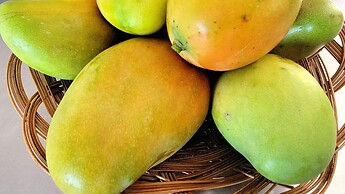 Kawayan Holiday Resort