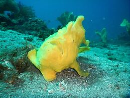 Kawayan Holiday Resort