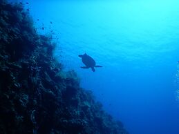 Kawayan Holiday Resort