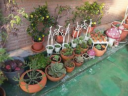 Garden Life Homestay