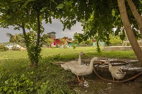 Dream View Heritage Resort