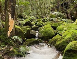 Tullys Hut - Walk to Hikes, Waterfalls, Views
