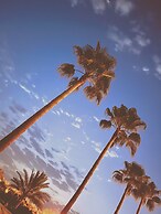 The Olives Sanctuary