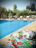 The Olives Sanctuary