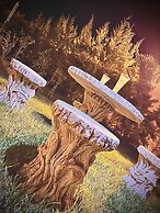 The Olives Sanctuary