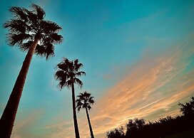 The Olives Sanctuary