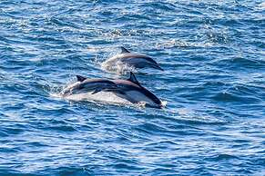 Sonora Spa Beachfront