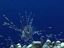 Sablayan Paraiso Beach Resort