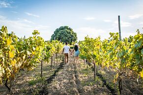 Glamping Toneles y Viñedos