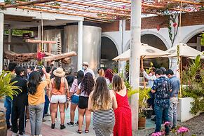 Glamping Toneles y Viñedos