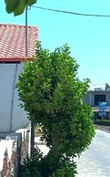 Hostal Neptuno - Poseidon