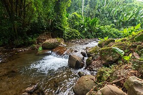 Villa el Bosque La Fortuna