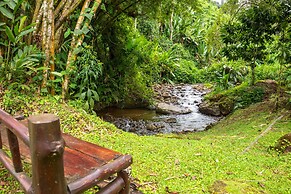 Villa el Bosque La Fortuna