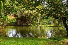 Villa el Bosque La Fortuna