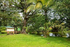 Villa el Bosque La Fortuna