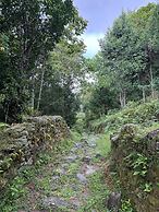Taj Guras Kutir Resort & Spa, Gangtok