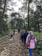 Taj Guras Kutir Resort & Spa, Gangtok