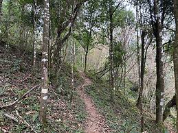 Taj Guras Kutir Resort & Spa, Gangtok