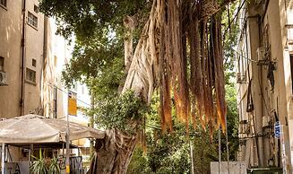 Cozy Charm STU Haifa CTR by Sea N' Rent