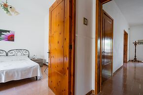 3478 Atene - PT By Barbarhouse